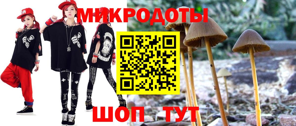 Татарск  Псилоцибиновые грибы GOLDEN TEACHER  Вход с VPN  Галлюциногенные грибы Magic Shrooms 